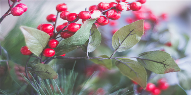 男人梦见成群的老鼠(男人梦见成群的老鼠在床上)