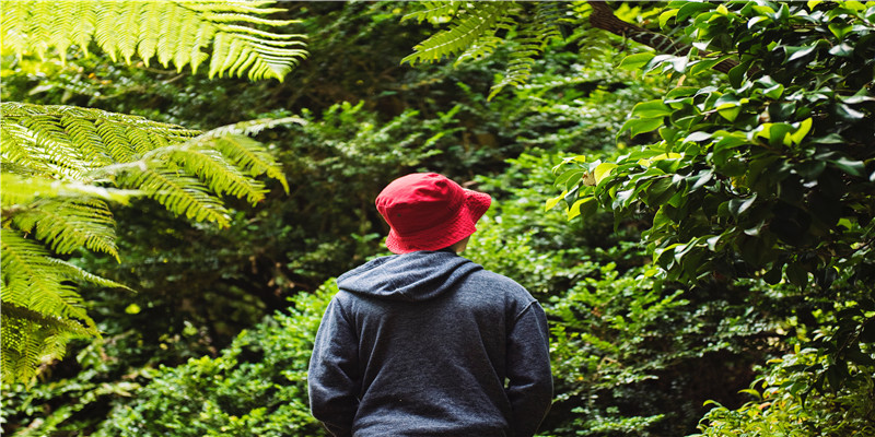 女人梦到怀里抱着小狗(梦见狗是什么运势)