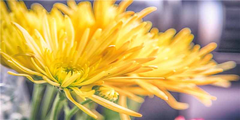 什么面相的人容易早婚(晚婚的面相)