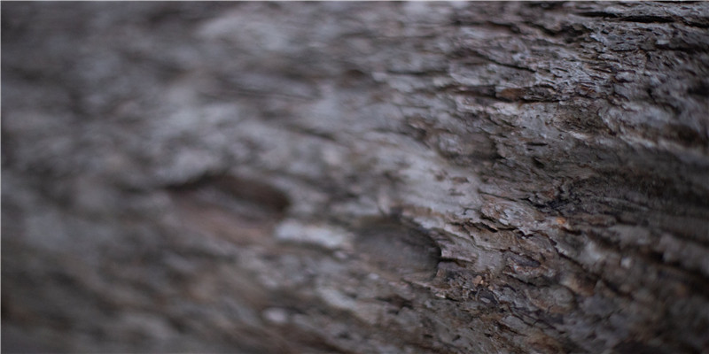 86年属虎本命年佩戴什么吊坠(虎年新春将至)