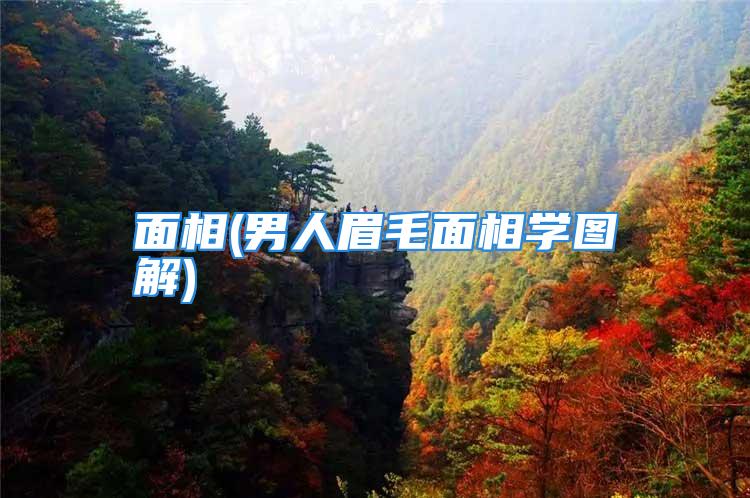 面相(男人眉毛面相学图解)