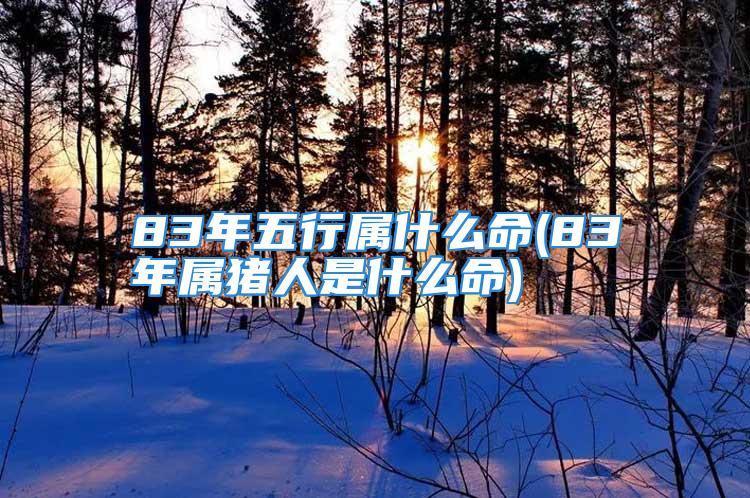 83年五行属什么命(83年属猪人是什么命)