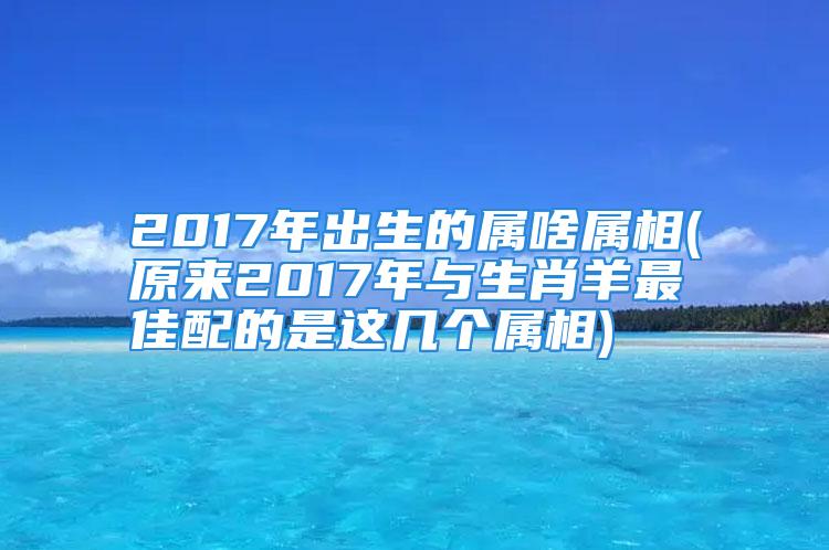 2017年出生的属啥属相(原来2017年与生肖羊最佳配的是这几个属相)