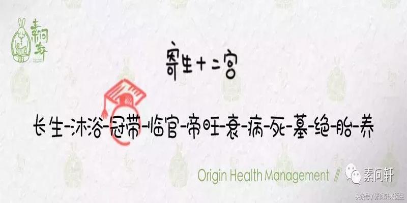 八字有文昌星(你的八字注定是读书高手)