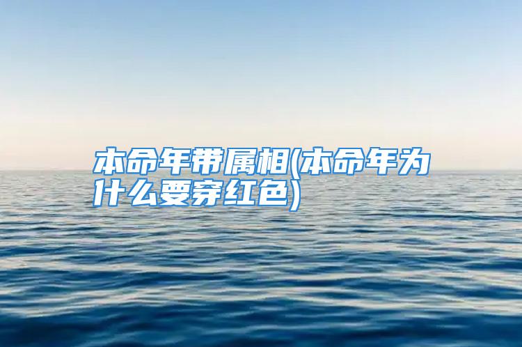 本命年带属相(本命年为什么要穿红色)