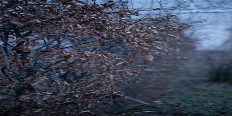 谋略高的八字(八字岁运的排法)