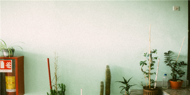 上升双鱼女越来越美(2022年运)