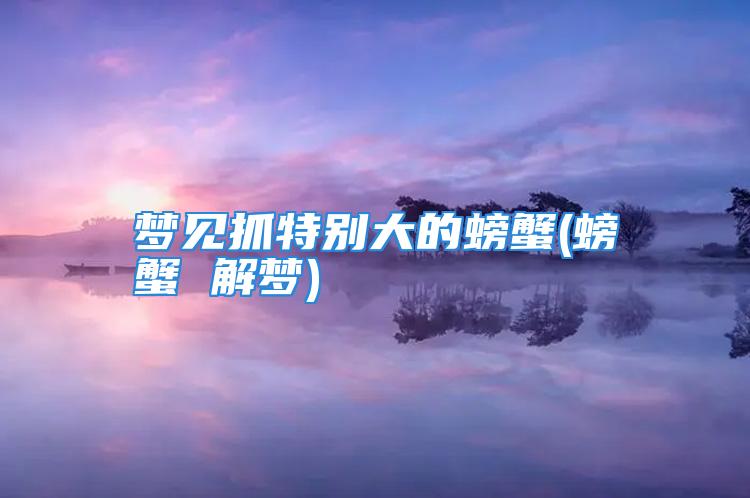 梦见抓特别大的螃蟹(螃蟹 解梦)