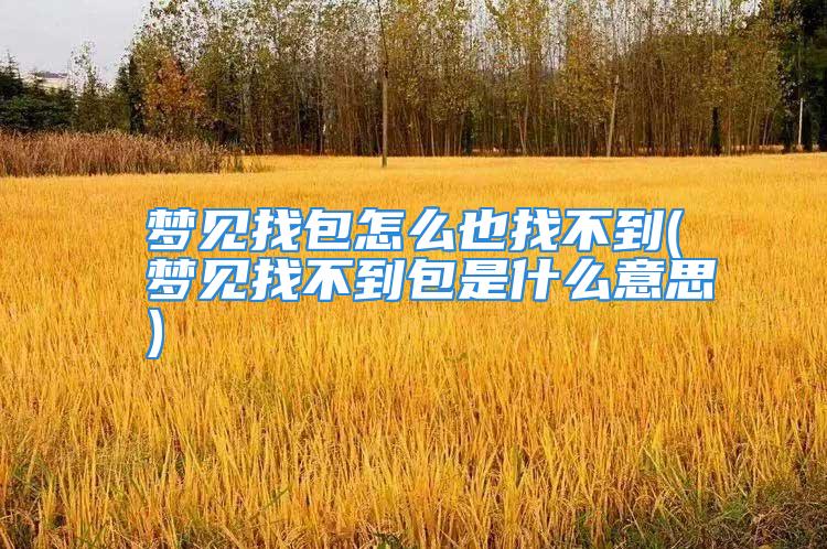 梦见找包怎么也找不到(梦见找不到包是什么意思)