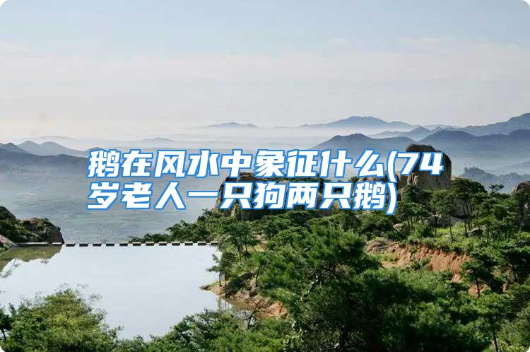 鹅在风水中象征什么(74岁老人一只狗两只鹅)