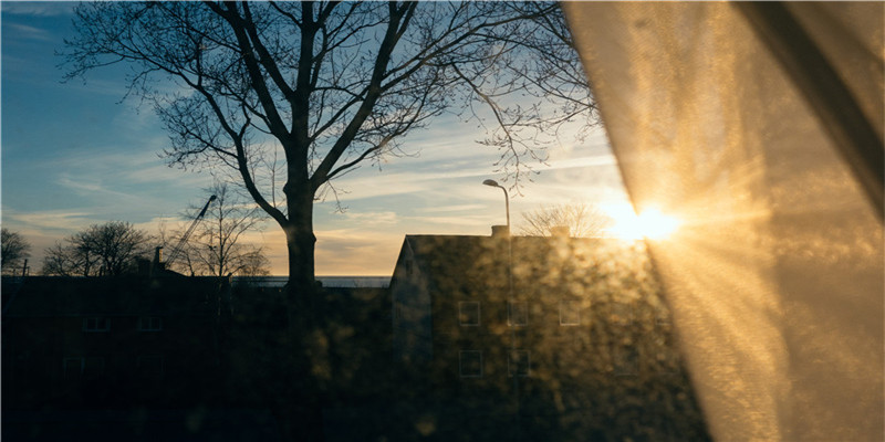 梦见自己在枣树下捡枣(梦见枣树结果子了)