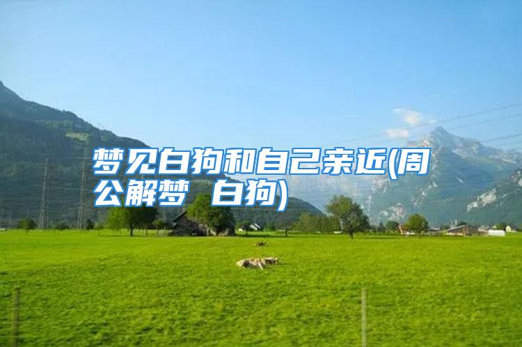 梦见白狗和自己亲近(周公解梦 白狗)