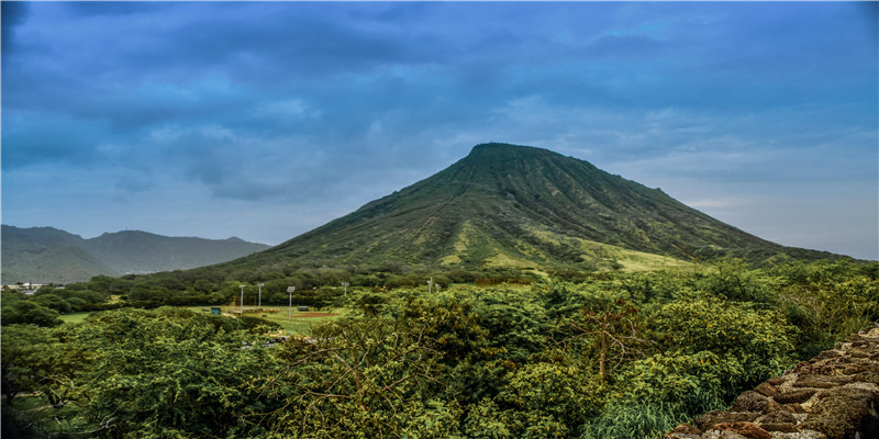 做梦梦到蚯蚓是什么征兆(梦见蚯蚓是啥意思)