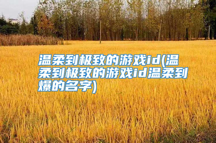 温柔到极致的游戏id(温柔到极致的游戏id温柔到爆的名字)