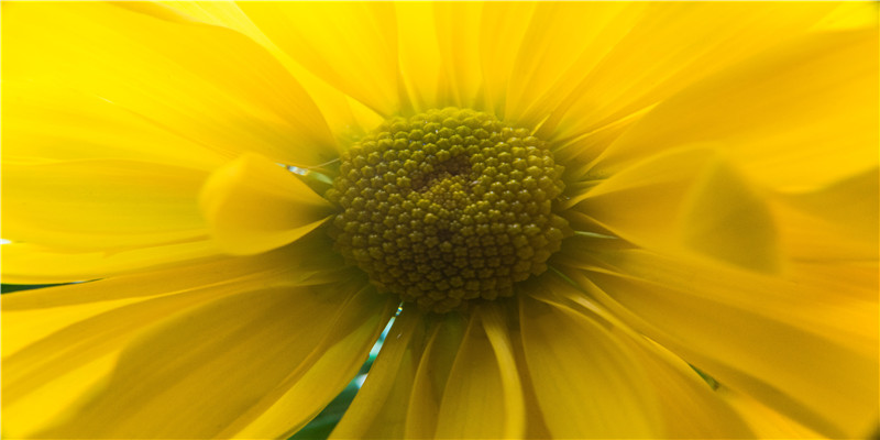 七月十六是鬼节吗(“正月十五”为什么称“元宵节”)