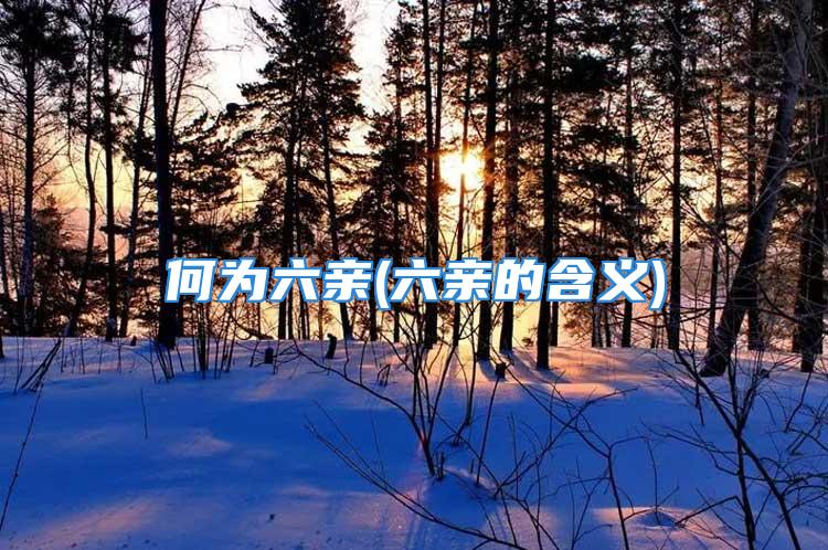 何为六亲(六亲的含义)