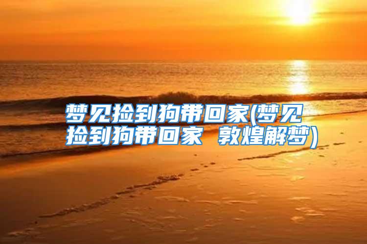梦见捡到狗带回家(梦见捡到狗带回家 敦煌解梦)