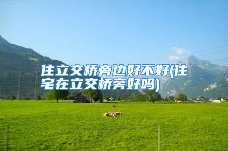 住立交桥旁边好不好(住宅在立交桥旁好吗)