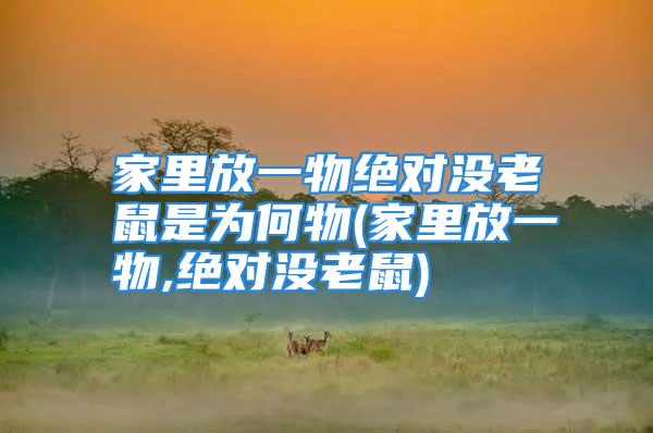 家里放一物绝对没老鼠是为何物(家里放一物,绝对没老鼠)