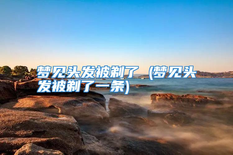 梦见头发被剃了 (梦见头发被剃了一条)