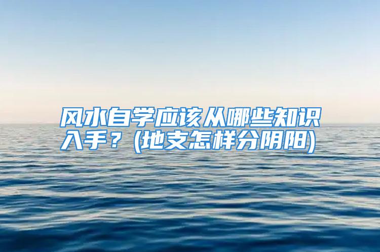 风水自学应该从哪些知识入手？(地支怎样分阴阳)