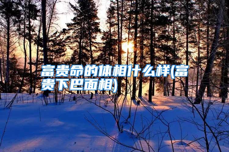 富贵命的体相什么样(富贵下巴面相)