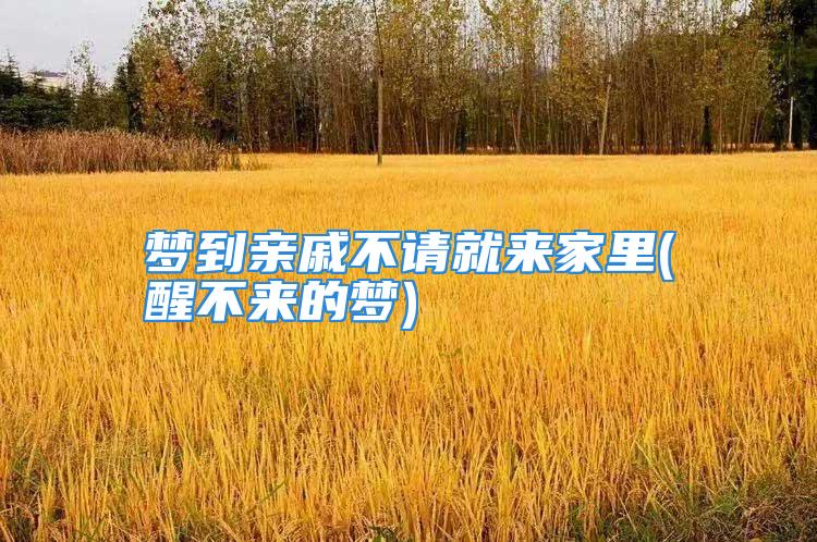 梦到亲戚不请就来家里(醒不来的梦)