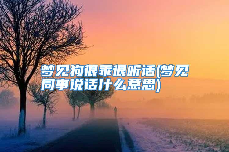 梦见狗很乖很听话(梦见同事说话什么意思)