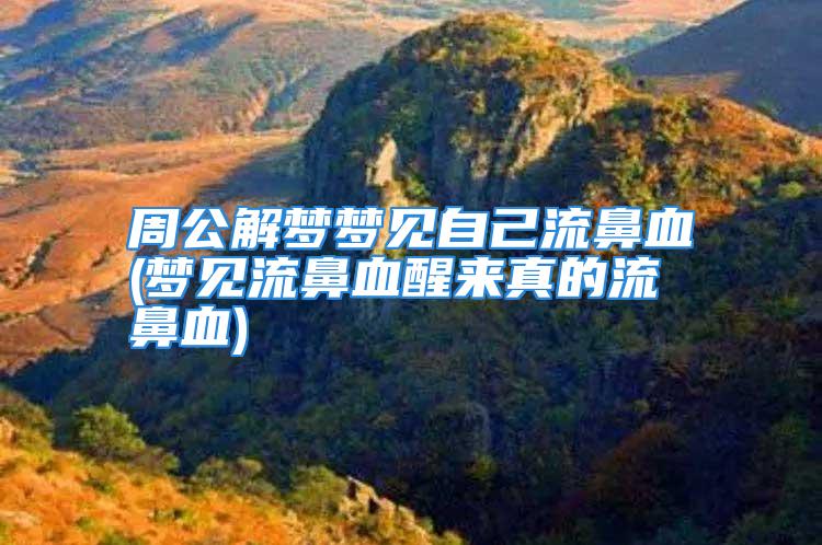 周公解梦梦见自己流鼻血(梦见流鼻血醒来真的流鼻血)