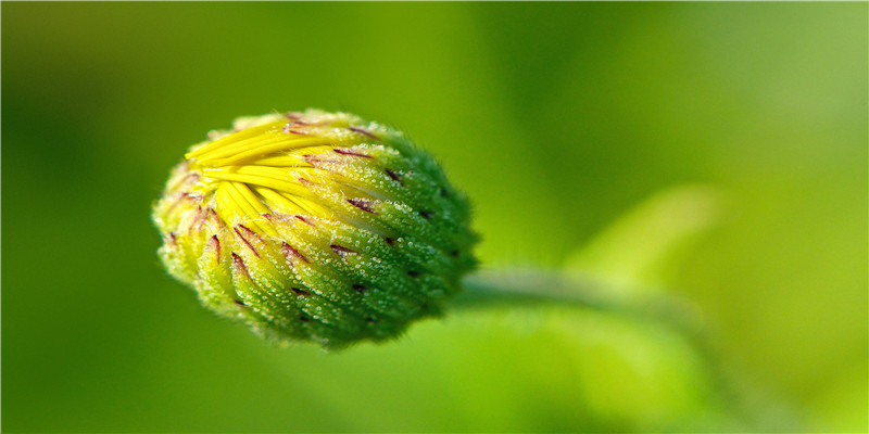 男人长在哪里的痣是富贵痣(男人10处有痣是富贵痣)