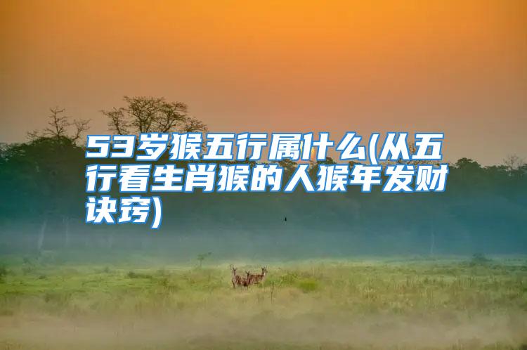 53岁猴五行属什么(从五行看生肖猴的人猴年发财诀窍)