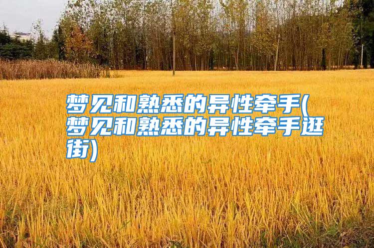 梦见和熟悉的异性牵手(梦见和熟悉的异性牵手逛街)