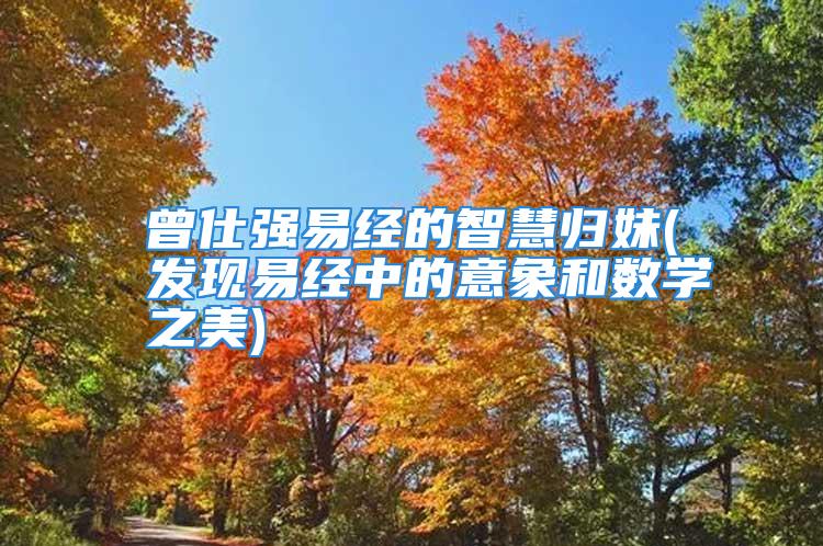 曾仕强易经的智慧归妹(发现易经中的意象和数学之美)