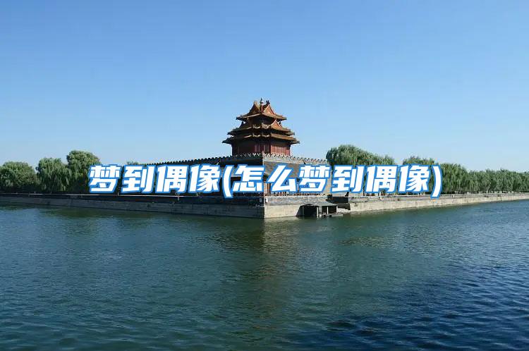 梦到偶像(怎么梦到偶像)