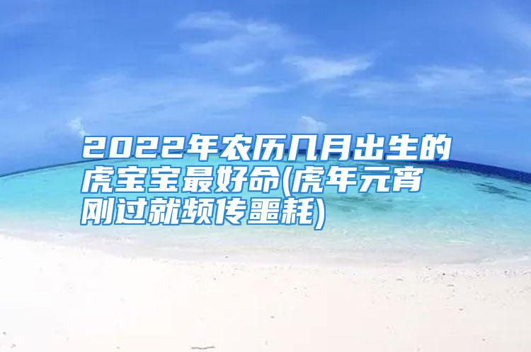 2022年农历几月出生的虎宝宝最好命(虎年元宵刚过就频传噩耗)