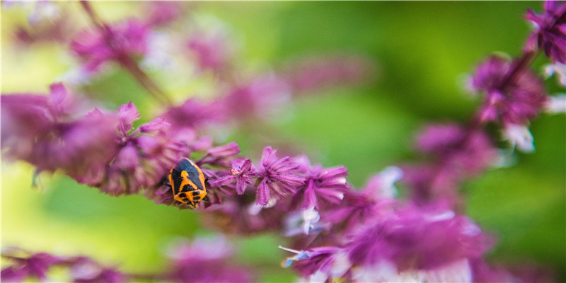 游戏结拜六个人好听的名字(怎么和结拜兄弟断义)