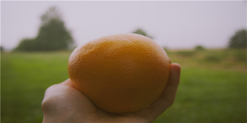 梦到杀蛇(梦见自己事业上出现不利局面)