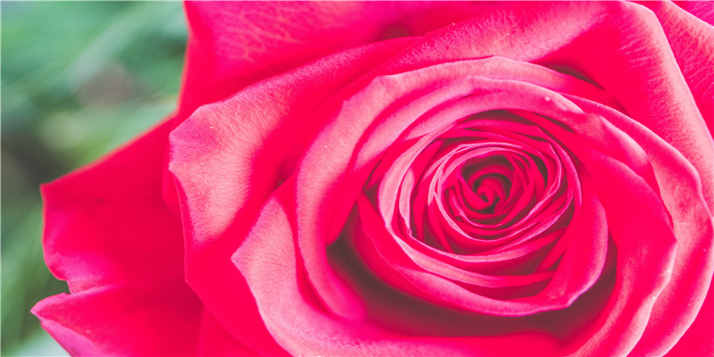 能让男人痴迷的女命八字(命苦的女人八字特点)