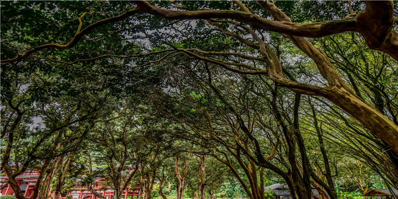 女人梦见碎玻璃渣子(女人梦见碎玻璃渣子扎手)