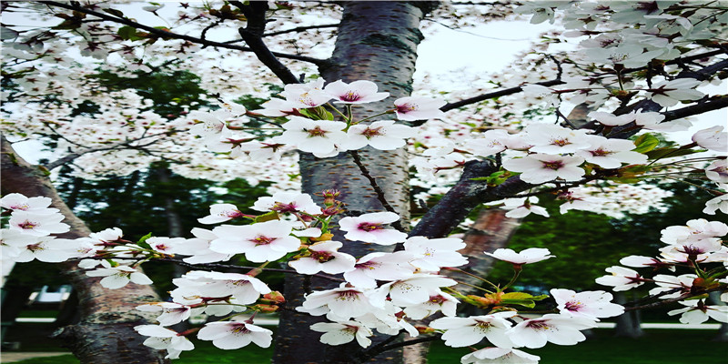 饿木命改运法(饿木命的人怎样有财运)