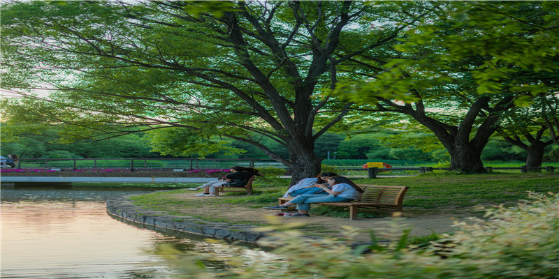 辛金生于巳月命理分析(八字中辛金是什么金)