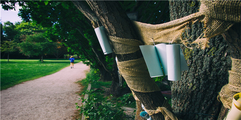 眼睛类型看性格(大眼睛的人性格特点)