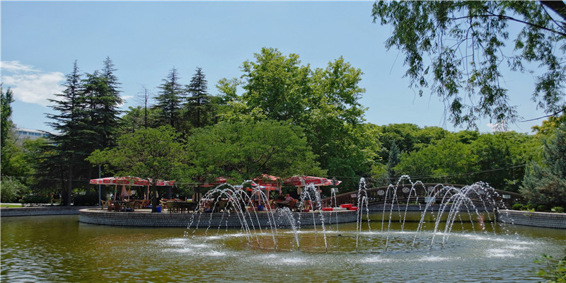 野心勃勃之人八字特点(八字伤官见官大富贵)