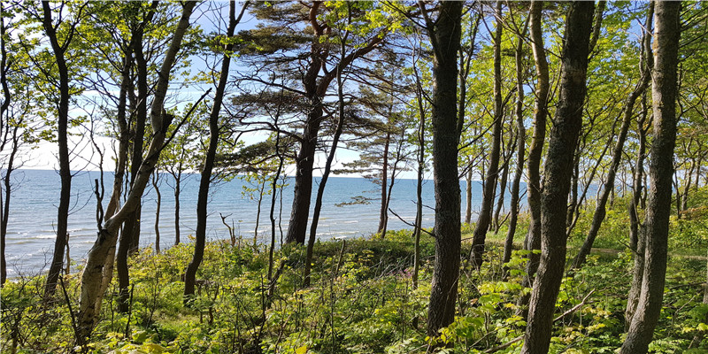 风水学阴阳协调什么意思?(阳宅风水哪种理论最准)