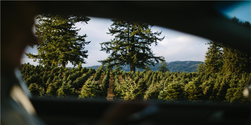 ？刀剑摆哪里对风水好忌讳放哪里(刀剑摆放的讲究与忌讳)