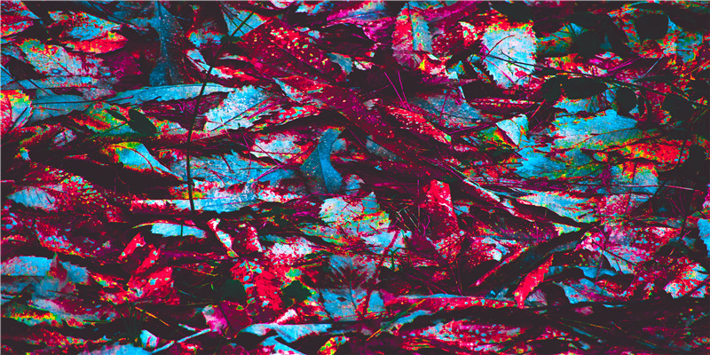 高颜值的生肖女(十二生肖颜值排名女)