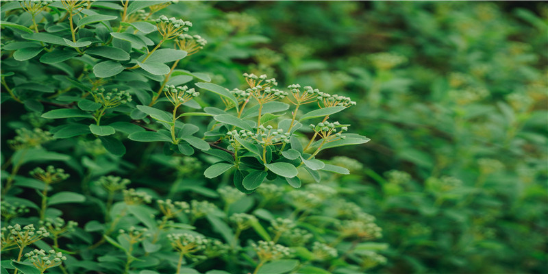 女性长什么样婚姻幸福(女人的幸福取决于老公)