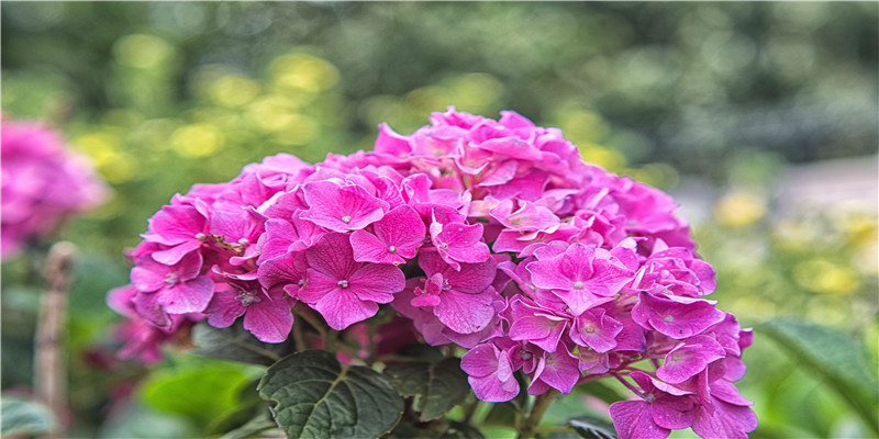 希腊脚的男人运势(古希腊男性)