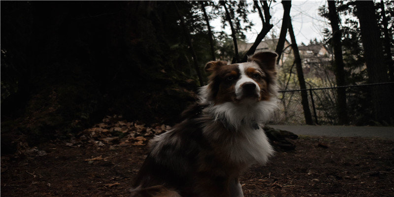太阳穴下凹好吗