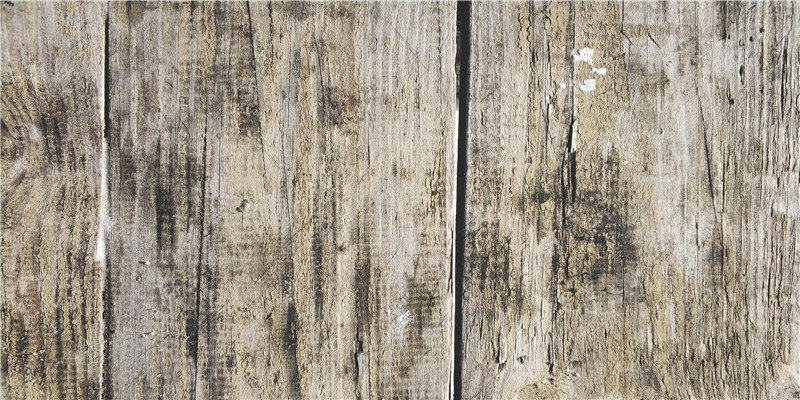 炜字取名禁忌(麻烦取名字)